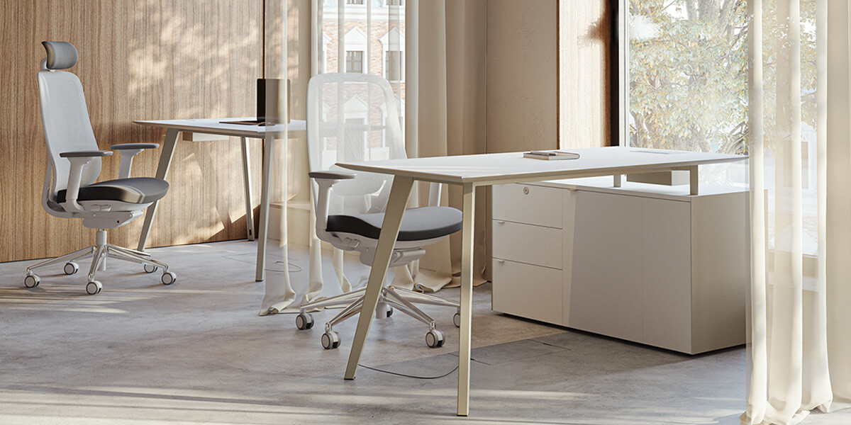 Ergonomik Ofis Mobilyaları