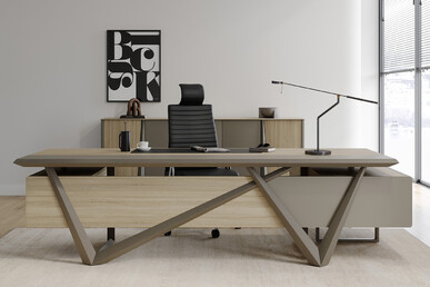 yönetici takımları