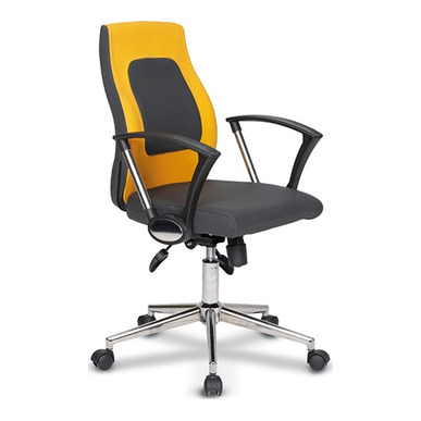 Walk Spor Şef Koltuğu - Çalışma Koltukları