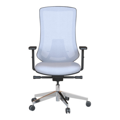 Bronco Alüminyum Ayak Kızaklı Senkron Mekanizma Şef Koltuğu - Fileli Çalışma Koltukları