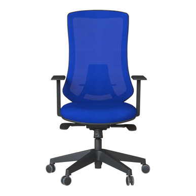 Bronco Ergonomik Çalışma Koltuğu - Fileli Çalışma Koltukları