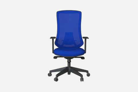 Bronco Ergonomik Çalışma Koltuğu