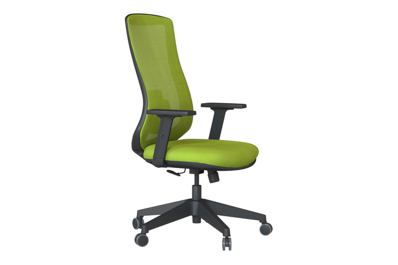 Bronco Ergonomik Ofis Çalışma Koltuğu