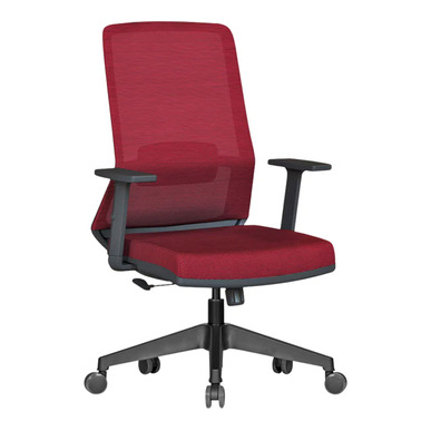Miran Ergonomik Fileli Çalışma Koltuğu