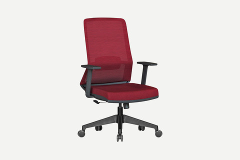 Miran Ergonomik Fileli Çalışma Koltuğu