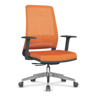 Reny Fileli Ergonomik Çalışma Koltuğu