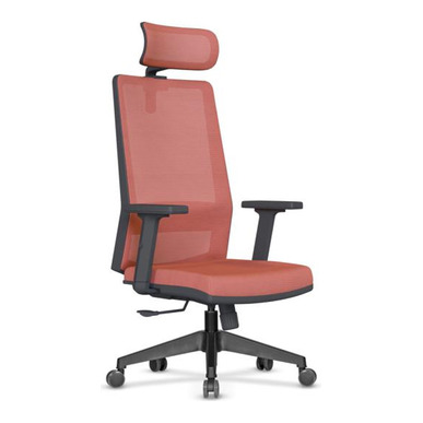 Arten Fileli Ergonomik Yönetici Koltuğu