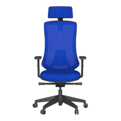 Bronco Plastik Ayak Kızaklı Senkron Mekanizma Müdür Koltuğu - Fileli Yönetici Koltukları