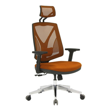 Head Alüminyum Ayak Ayarlı Kol Bel Destekli Başlıklı Müdür Koltuğu - Fileli Yönetici Koltukları