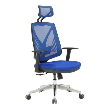 Head Alüminyum Ayak Sabit Kol Bel Destekli Başlıklı Müdür Koltuğu - Fileli Yönetici Koltukları