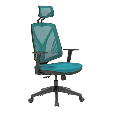 Head Plastik Ayak Sabit Kol Başlıklı Müdür Koltuğu - Fileli Yönetici Koltukları