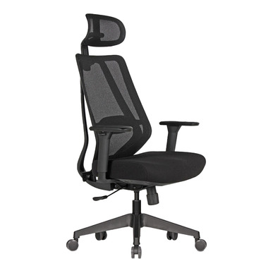 Maxy Bel Destekli Başlıklı Yönetici Koltuğu - Fileli Yönetici Koltukları