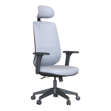 Nesoty Plastik Ayak Ayarlı Kol Başlıklı Yönetici Koltuğu - Fileli Yönetici Koltukları