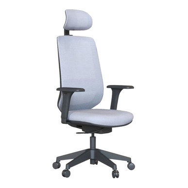 Nesoty Plastik Ayak Kızaklı Senkron Yönetici Koltuğu - Fileli Yönetici Koltukları