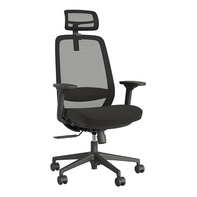 Olivia Ergonomik Fileli Yönetici Koltuğu