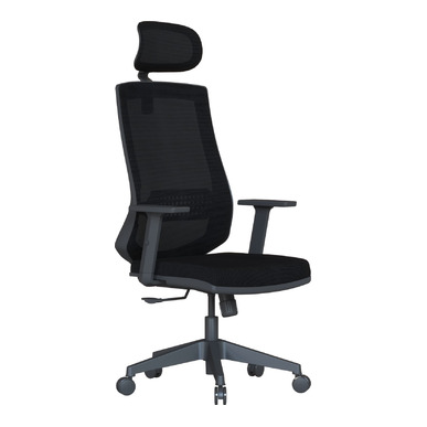 Pordo Ayarlanabilir Kol Yönetici Koltuğu - Fileli Yönetici Koltukları