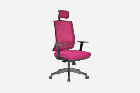 Quarter Ergonomik Fileli Müdür Koltuğu