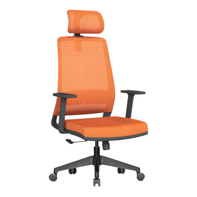 Reny Plastik Ayaklı Yönetici Koltuğu - Fileli Yönetici Koltukları