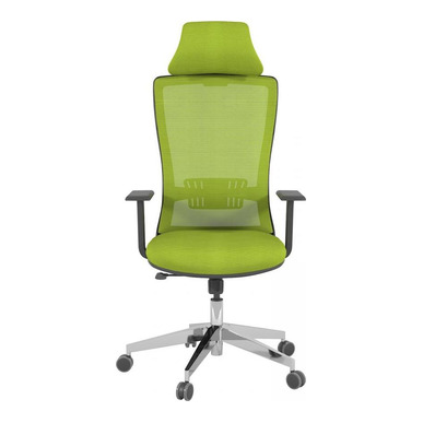 Reva Alüminyum Ayarlı Kol Kızaklı Senkron Yönetici Koltuğu - Fileli Yönetici Koltukları