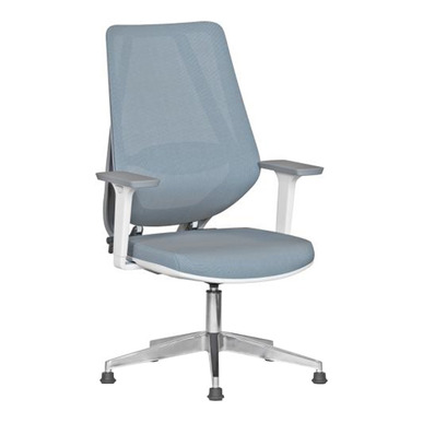 Maxy Ergonomik Fileli Yönetici Misafir Koltuğu