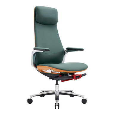 cayan kızak mekanizmalı yönetici koltuğu