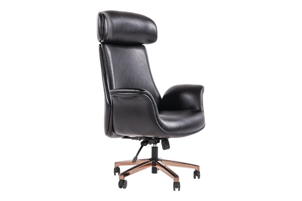 soprano kol döşemeli makam koltuğu