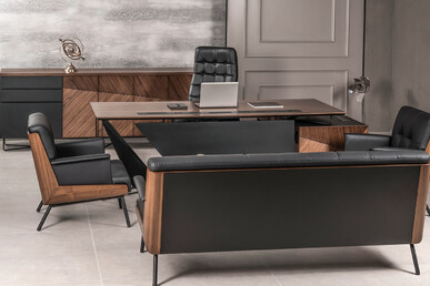 Ployer Ofis Mobilya Takımı - küçük detay görsel 3 - Makam Takımları