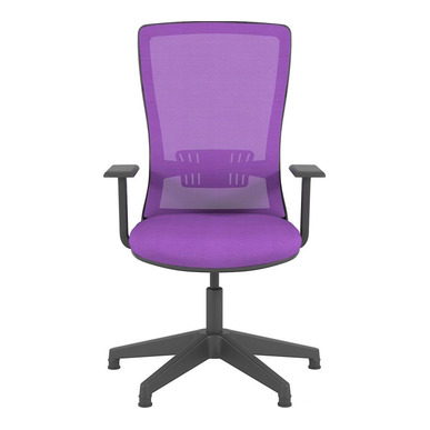 reva plastik sabit kol yıldız ayak misafir koltuğu