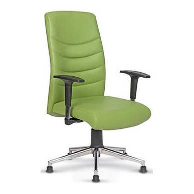 stil desenli misafir koltuğu