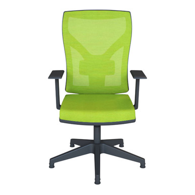 vezada plastik yıldız ayak sabit kol misafir koltuğu - küçük detay görsel 2