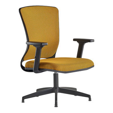 zovessa modern yıldız ayaklı misafir koltuğu