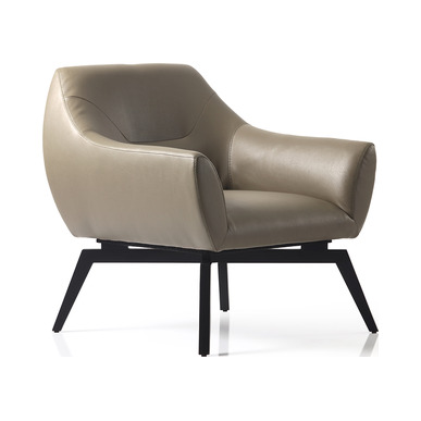 mary tasarım metal ayak tekli kanepe