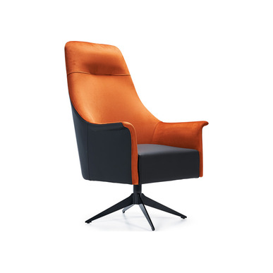 trekant kumaş döşemeli tasarım ayak tekli berjer