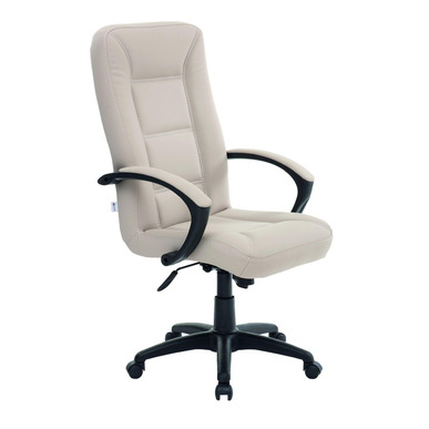 along plastik müdür koltuğu