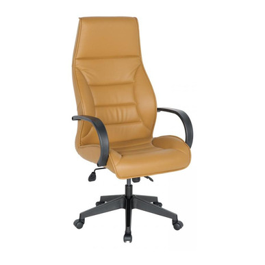 Armlet Plastik Kol Ayak Müdür Koltuğu - küçük detay görsel 2 - Yönetici Koltukları