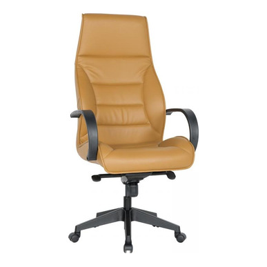 Armlet Plastik Kol Ayak Senkron Mekanizma Müdür Koltuğu - Yönetici Koltukları