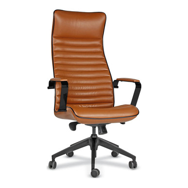 Aves Plastik Ayak Senkron Yönetici Koltuğu - Yönetici Koltukları