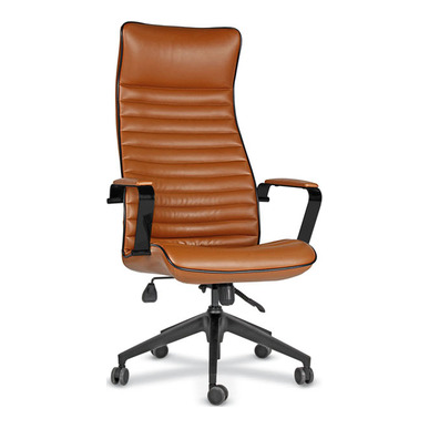 aves plastik ayak yönetici koltuğu