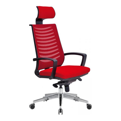 Drape Plastik Kol Alüminyum Ayak Başlıklı Senkron Mekanizmalı Yönetici Koltuğu - Yönetici Koltukları