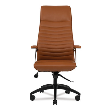 enory plastik ayak tasarım kol yönetici koltuğu