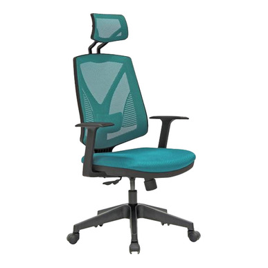 head plastik ayak sabit kol başlıklı müdür koltuğu