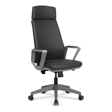 Hona Plastik Kol Ayak Senkron Yönetici Koltuğu - Yönetici Koltukları