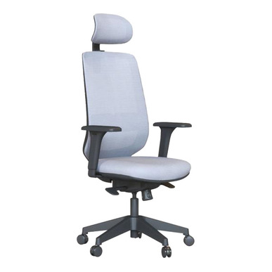 Nesoty Plastik Ayak Senkron Yönetici Koltuğu - Yönetici Koltukları