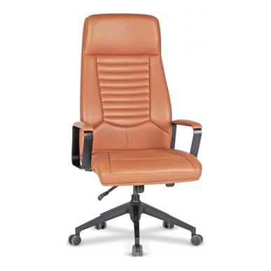 north boyalı metal kol plastik ayak yönetici koltuğu