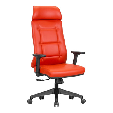 Pordo Ergonomik Yönetici Çalışma Koltuğu