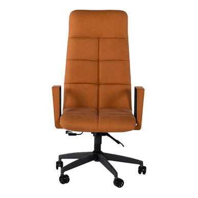 pringe metal kol yönetici koltuğu - küçük detay görsel 2