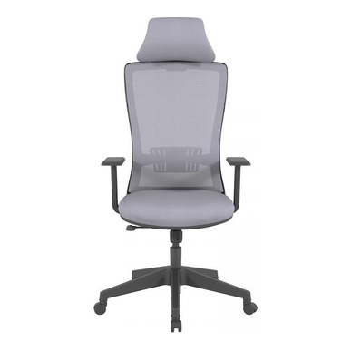 reva plastik sabit kol yönetici koltuğu