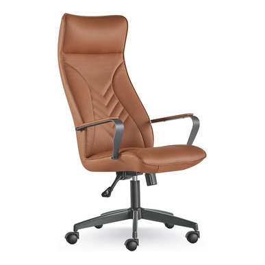 Rhone Yönetici Çalışma Koltuğu - küçük detay görsel 2 - Yönetici Koltukları