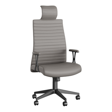 romane başlıklı ergonomik yönetici koltuğu