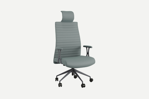 Romane Başlıklı Ergonomik Yönetici Koltuğu